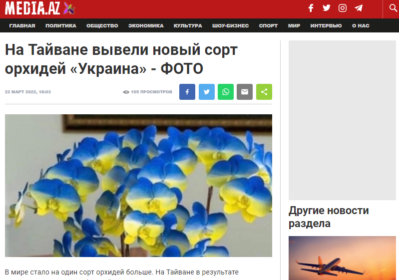 yourcompanyinazerbaijan